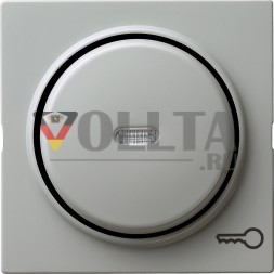 Gira 028742 крышка символ дверь + клавиша управления. S-Color Grey
