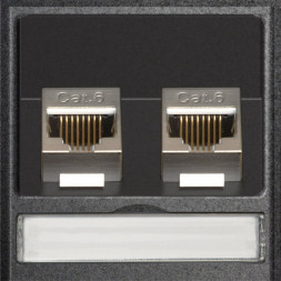 Модуль EVOline 2 x RJ45 CAT6 / запасная часть