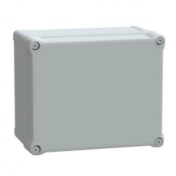 Schneider Electric NSYTBP292416H Вход.H275B225D160 Выход H291B241D168 H60 Корпус