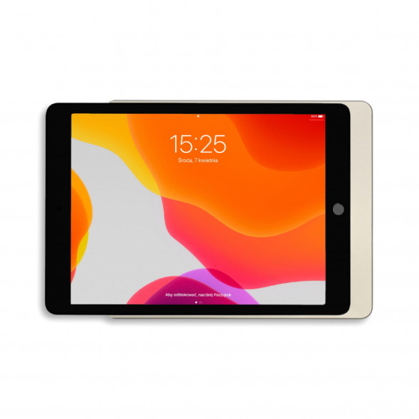 DISPLINE DSP-2-12-1002-11 Настенное крепление Dame Wall Home | iPad 10,2 дюйма | серебристый анодированный